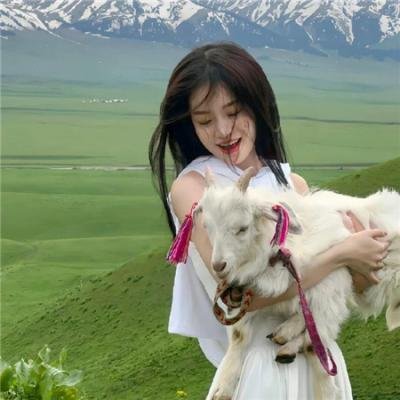 名侦探柯南：黑铁的鱼影 在线观看
