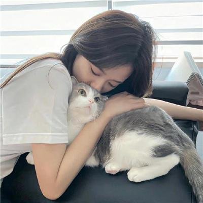古惑万能车 在线观看
